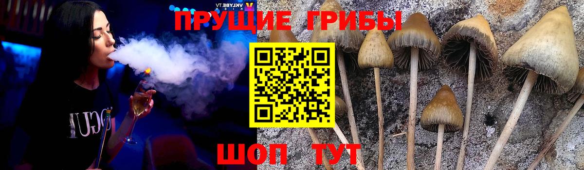 МЕФ Новочеркасск